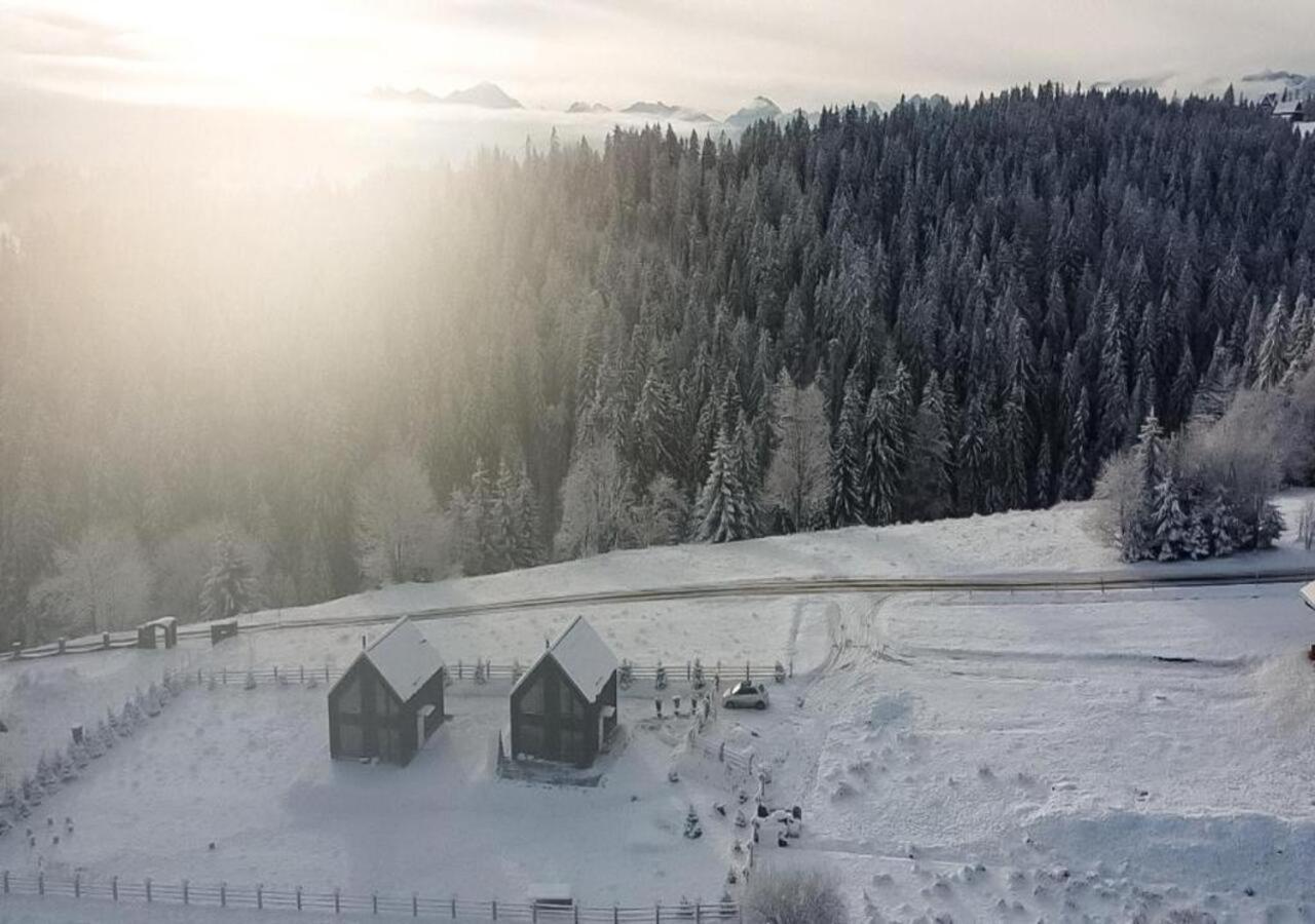 Vila Owczarnia Tatry Tatranská Bukovina Exteriér fotografie